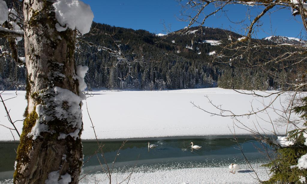 Apartmenthaus Mountainvista Kleinarl Esterno foto